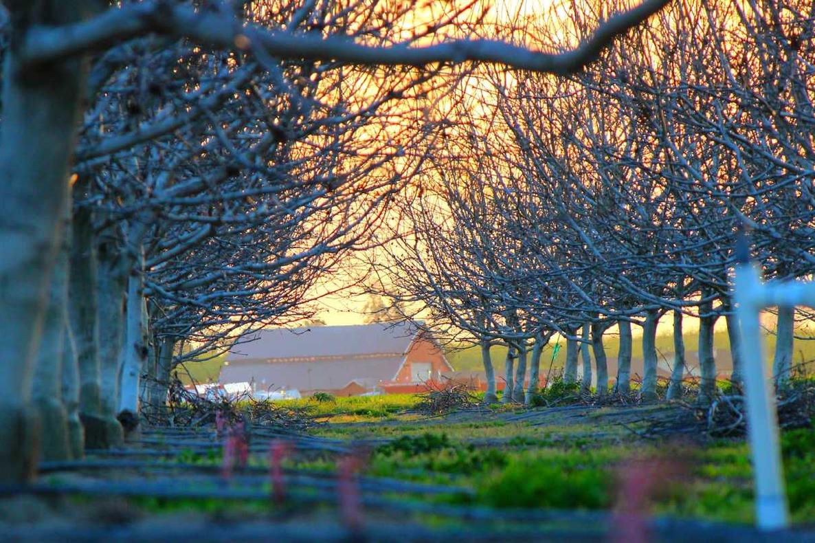 Maiores ipsum aut tenetur necessitatibus id